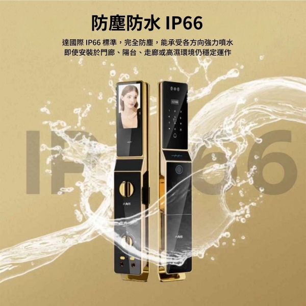 HEXA 人臉辨識掌靜脈電子鎖 P100F Pro