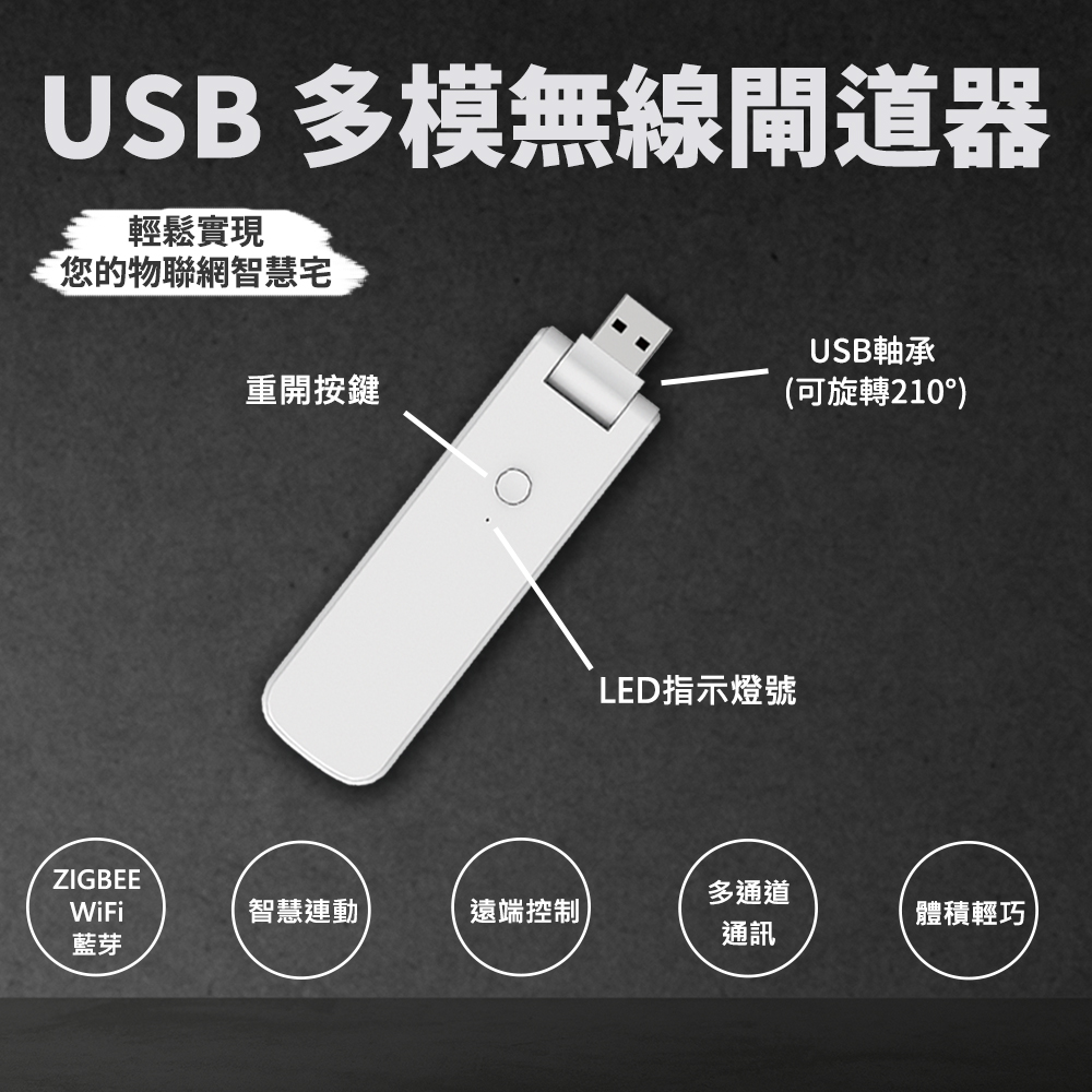 LT IOT 聯泰-USB多模閘道器